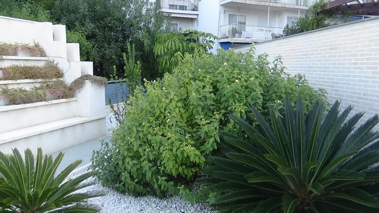 Aпартаменты В San Juan Playa Alicante Ngoại thất bức ảnh